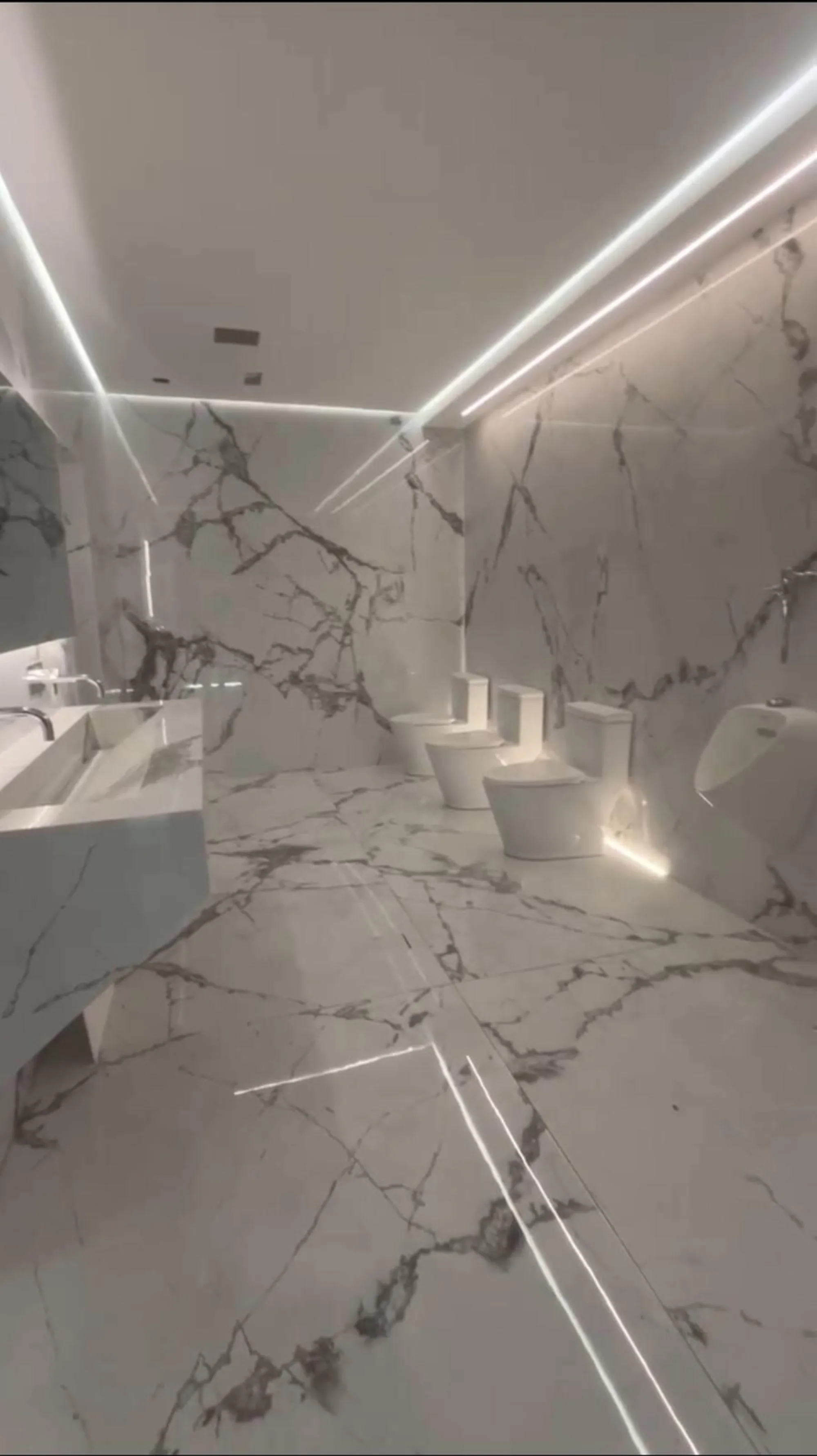Casa Bauza project 22
